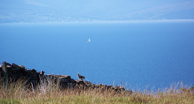 a photograph taken from Goldenberry hill