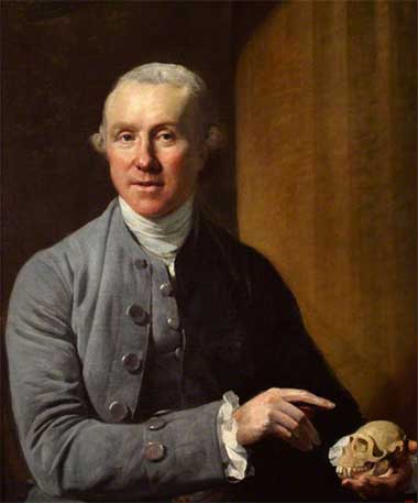a painting of John Hunter