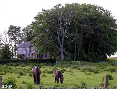 recent picture of Pitskellie (Balskellie) house