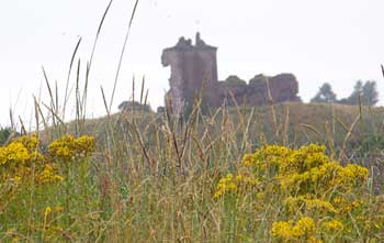 another view of Red Castle